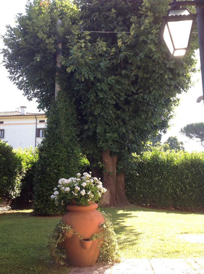 Le Tre Querce B&B Romano D'Ezzelino Exteriör bild