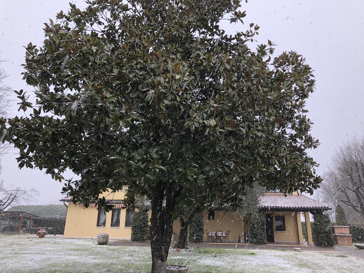 Le Tre Querce B&B Romano D'Ezzelino Exteriör bild